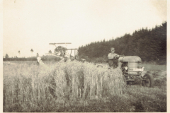 Maehbinder1954